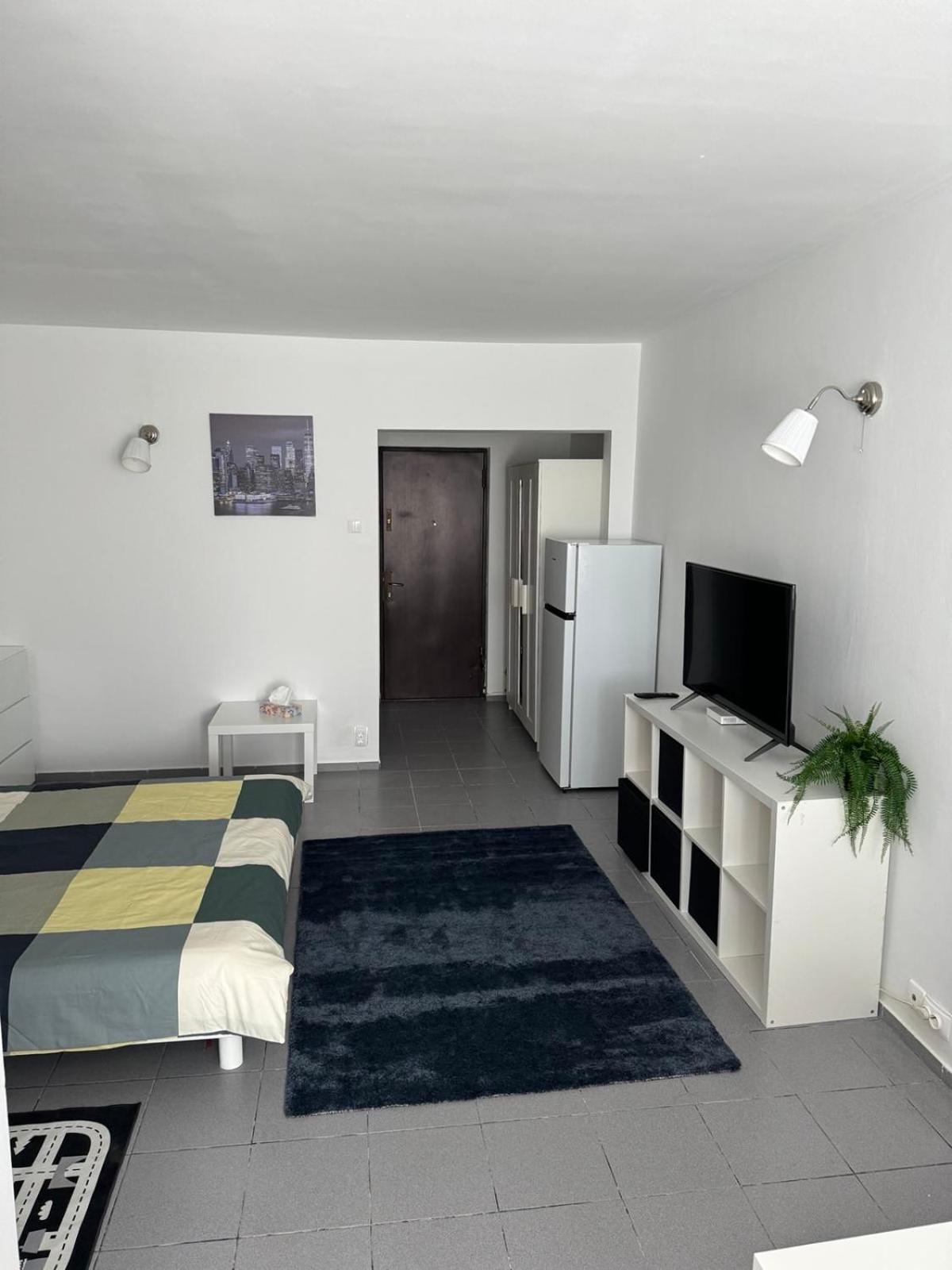Park Lake Apartment 布加勒斯特 外观 照片