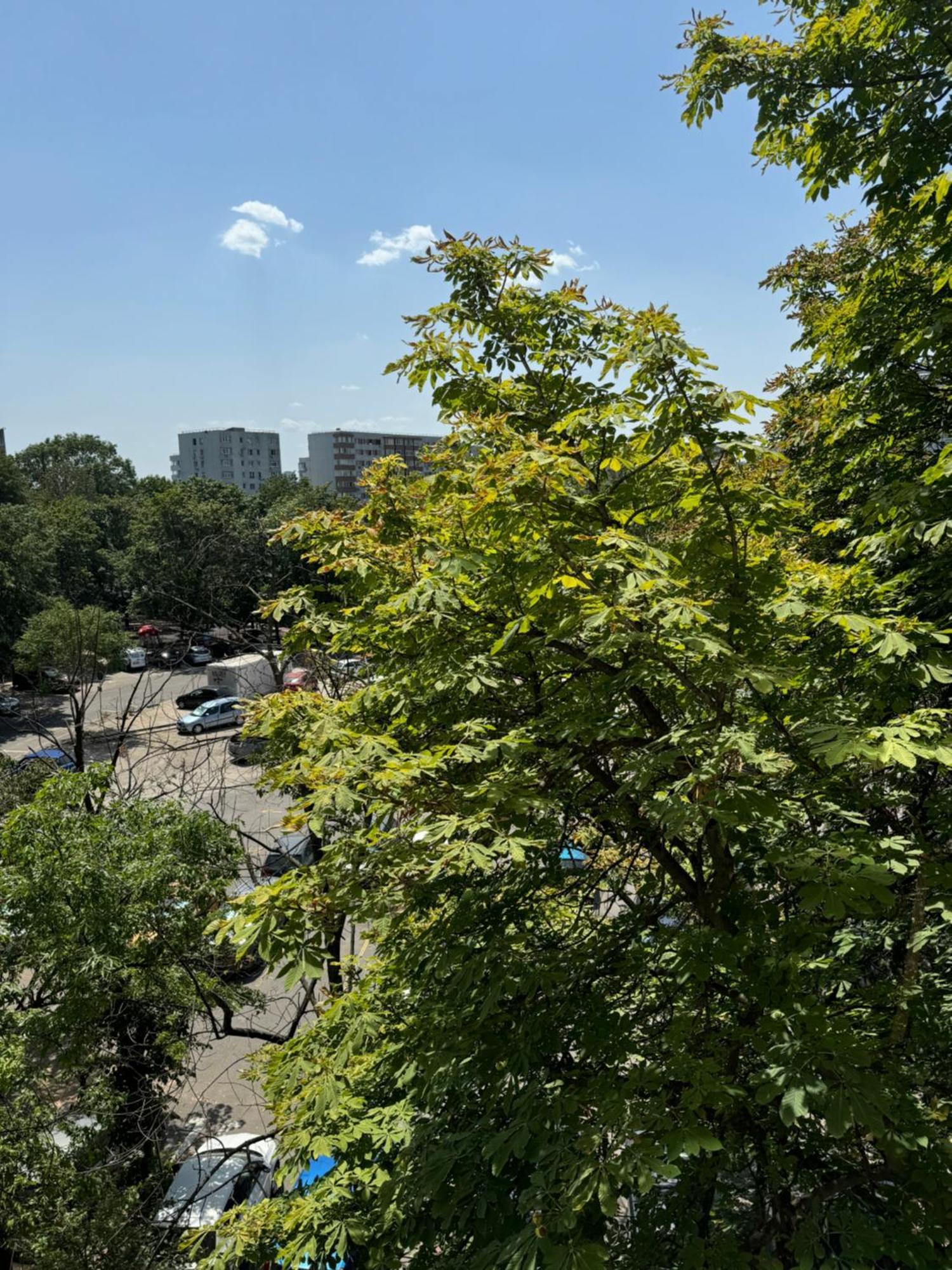Park Lake Apartment 布加勒斯特 外观 照片