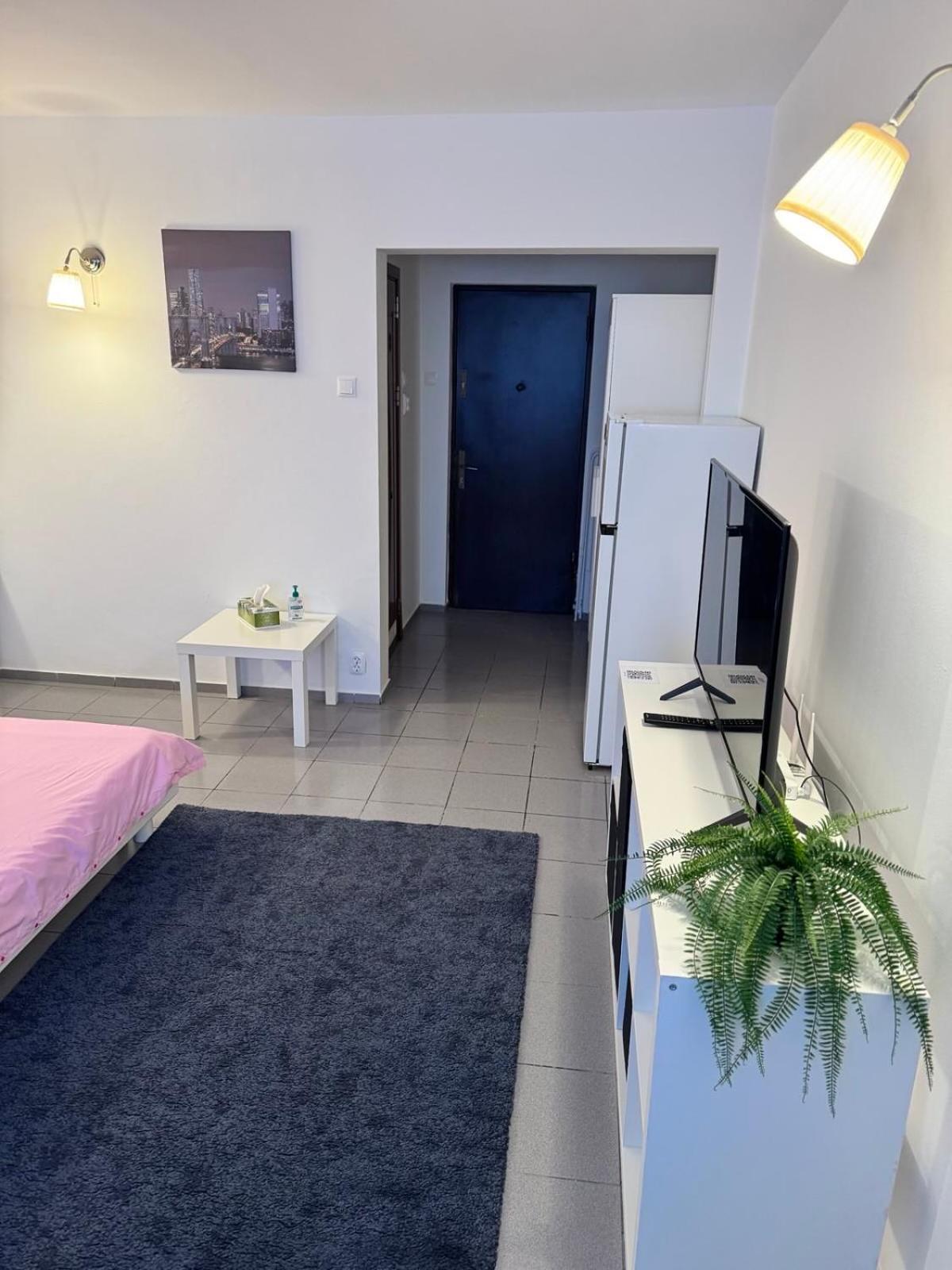 Park Lake Apartment 布加勒斯特 外观 照片